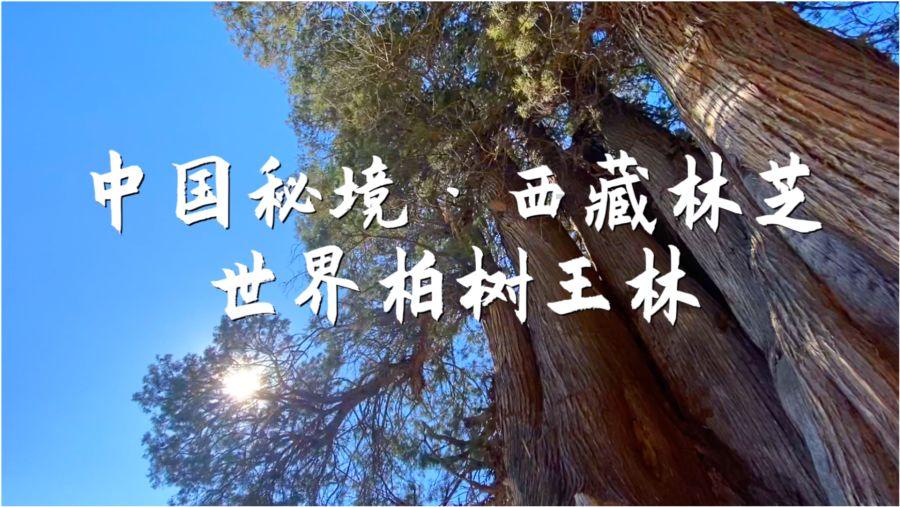 超可爱小精灵